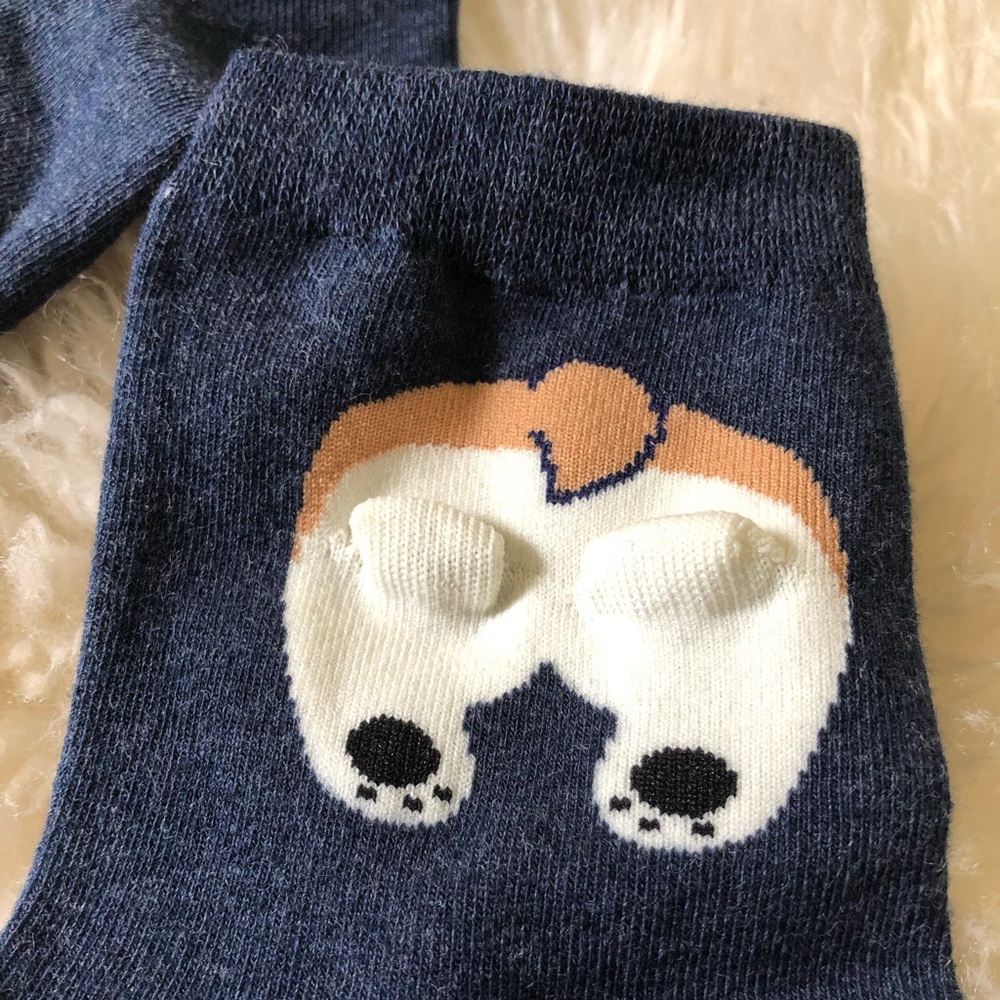 🐶 Corgi Dog Socks - Picture 6 of 8